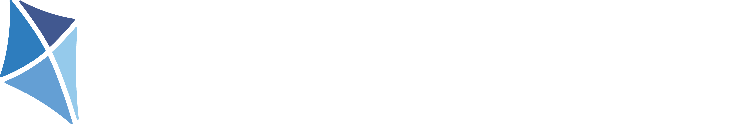 Black Blue Kite Logo