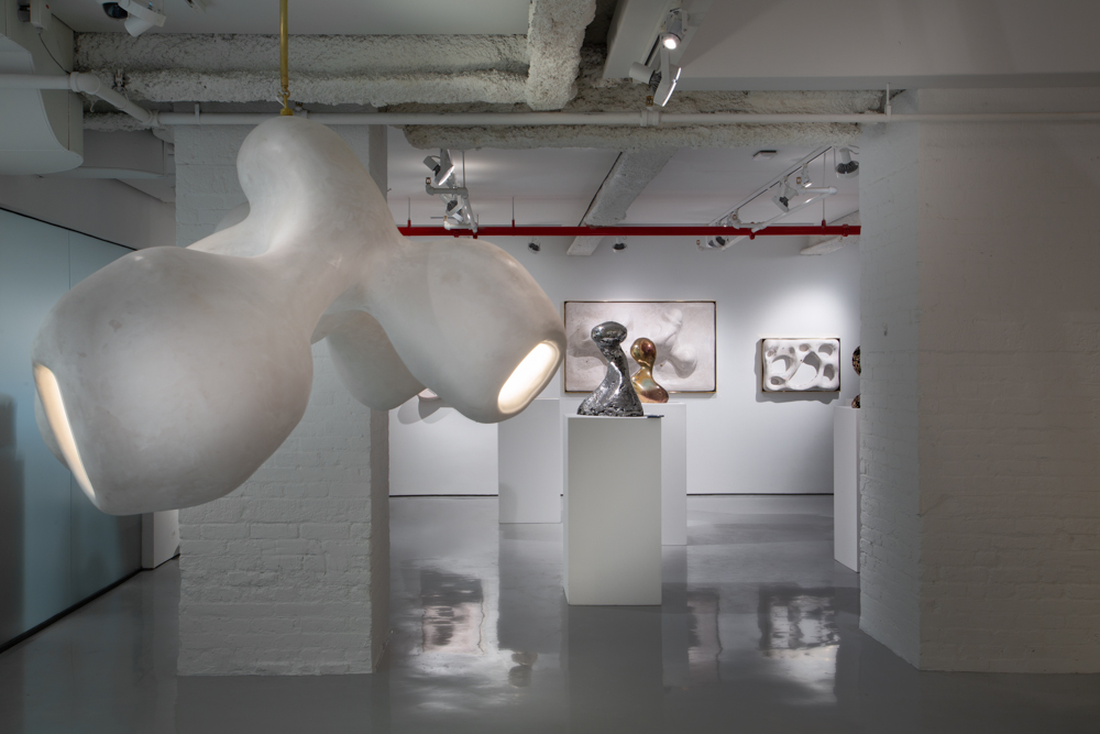 Rogan Gregory Known Unknown, 2020, suspended lamp and sculptures