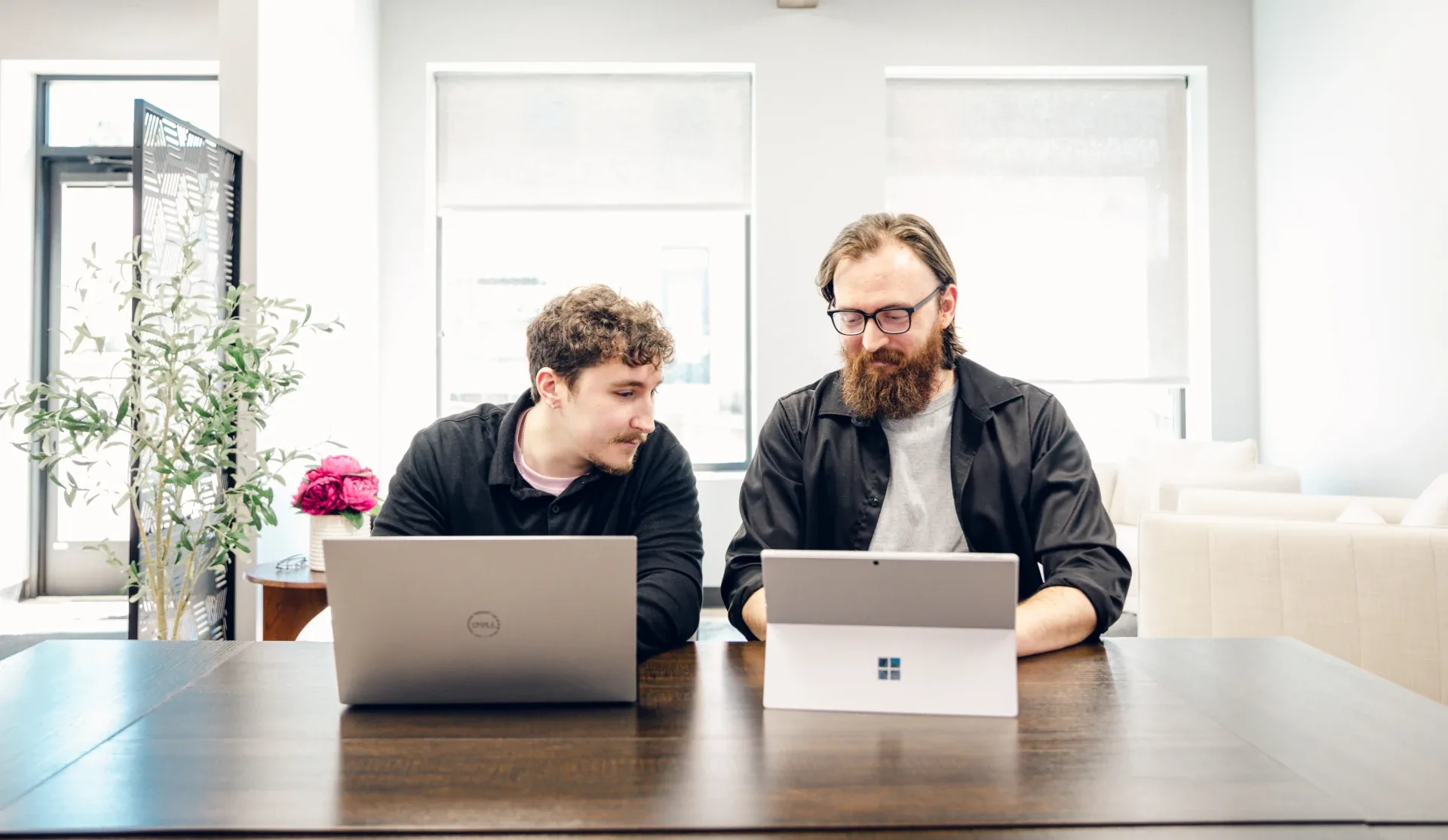 seo and web developing team working together