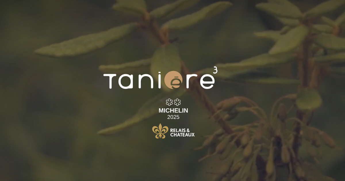 Tanière 3
