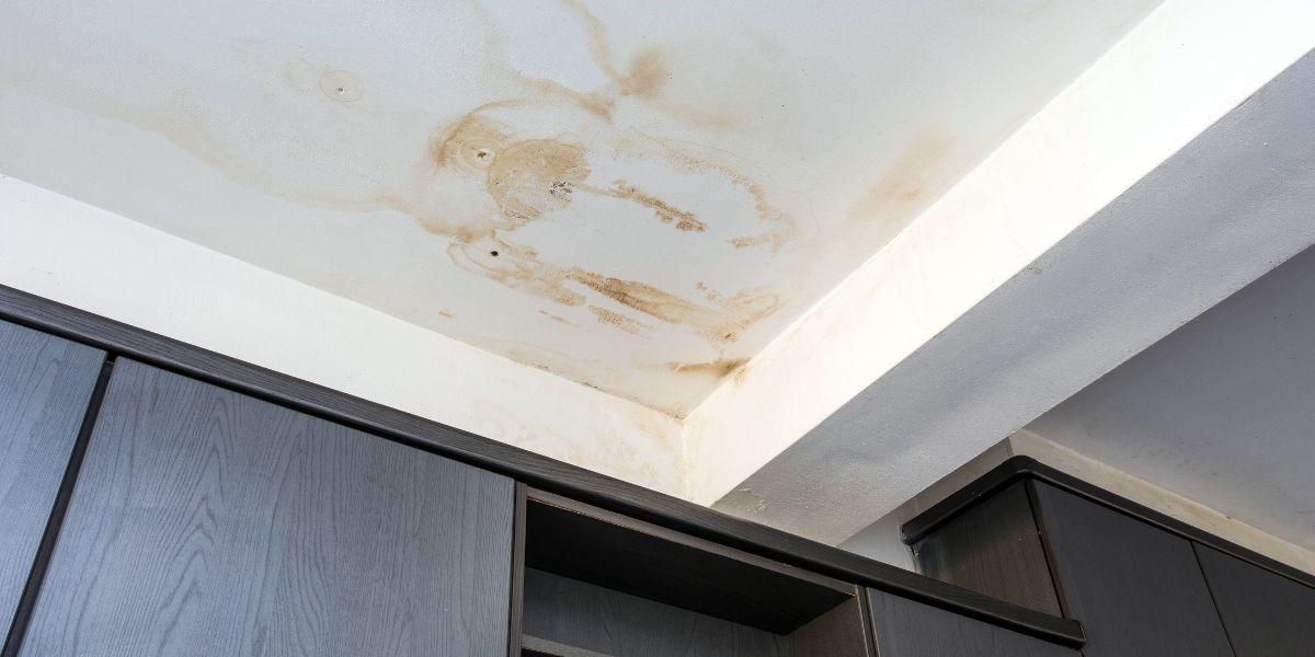 How Roof Condition Affects Tenant Retention