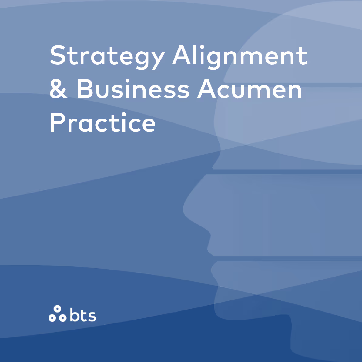 Strategy Alignment & Business Acumen Practice
