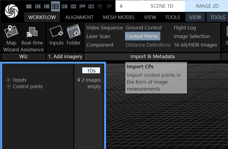 RealityCapture Import & Metadata Control Points button