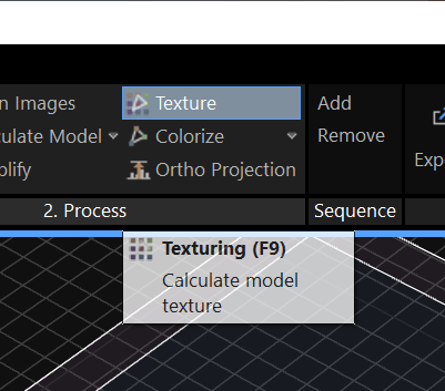 RealityCapture Process Texture Button