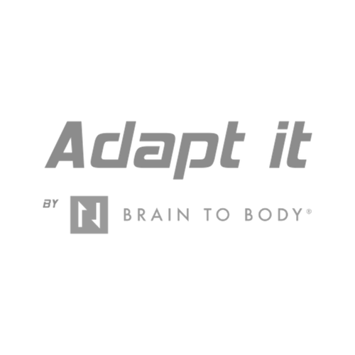 Adapt It ball logo