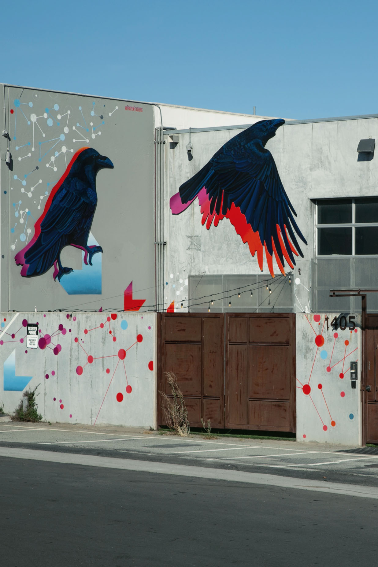 Street art mural of two large black birds with purple and red accents on a building wall with a clear blue sky.