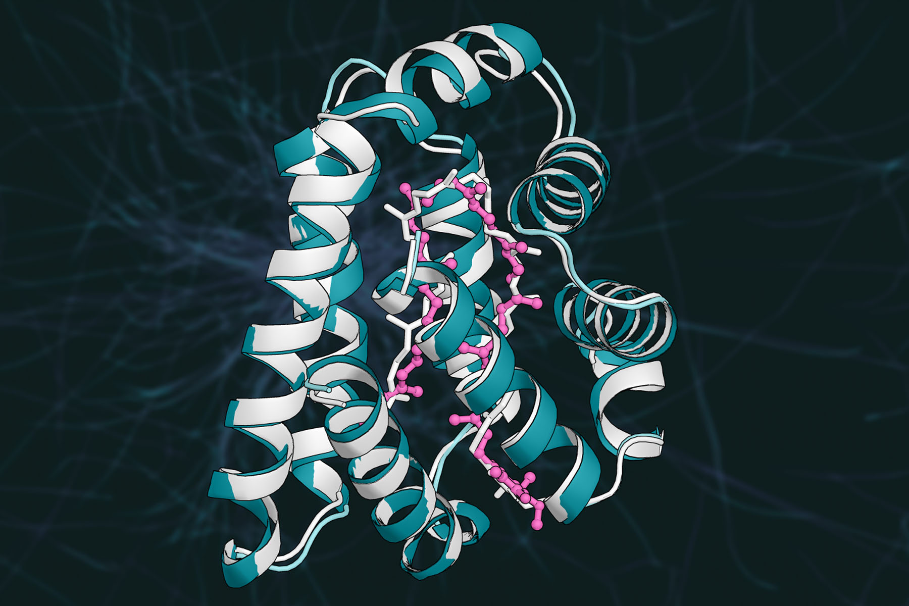 Structural representation of an enzyme binding a peptide