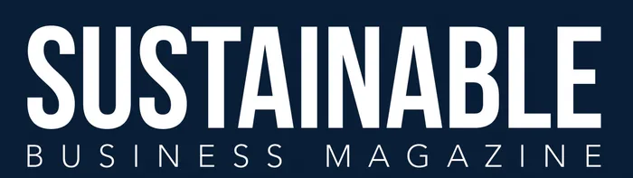 The Measurement Trap: Why Sustainability Reporting Should Be the Beginning, Not the End