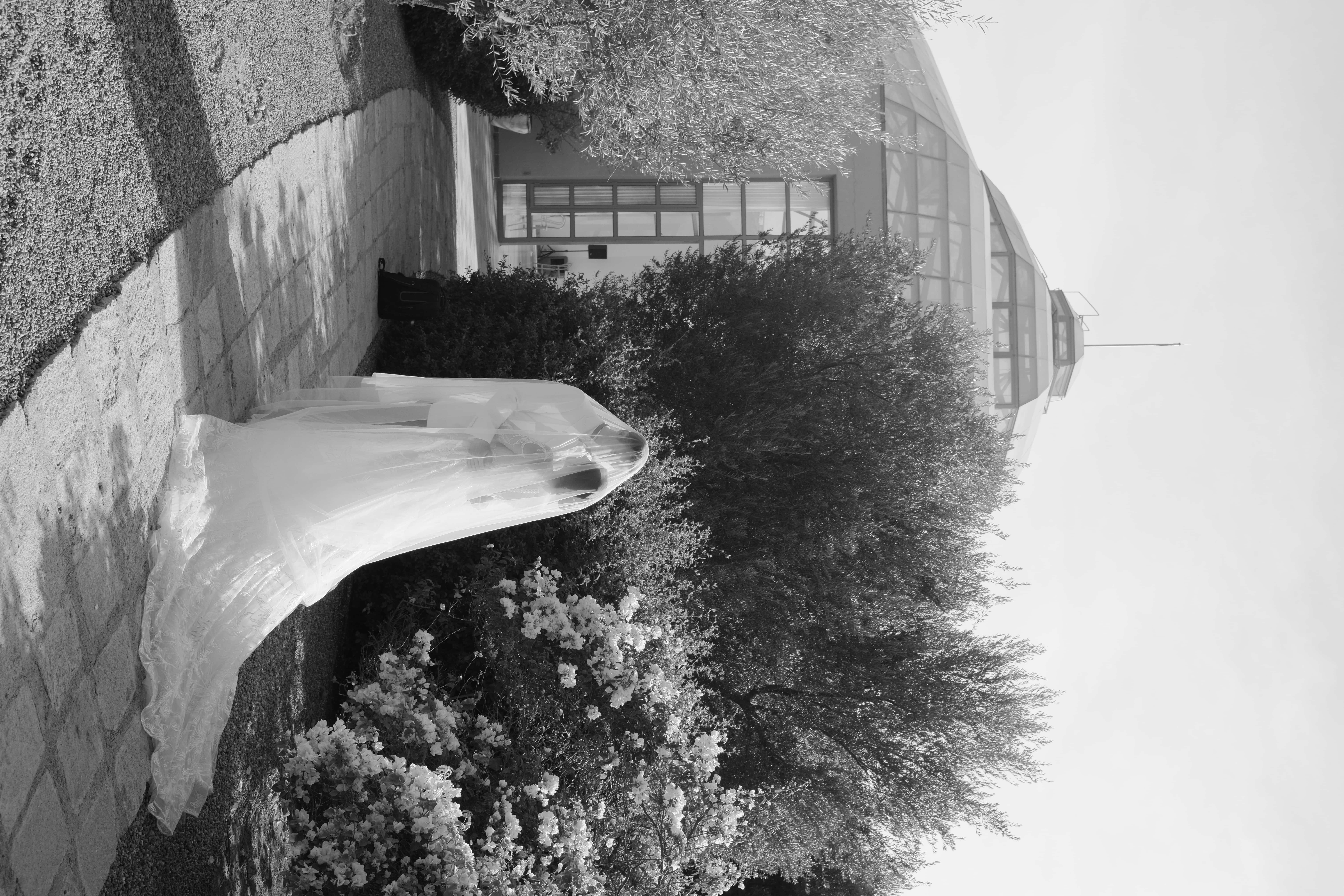 Daniela & Daniel Destination Wedding in San Miguel de Allende