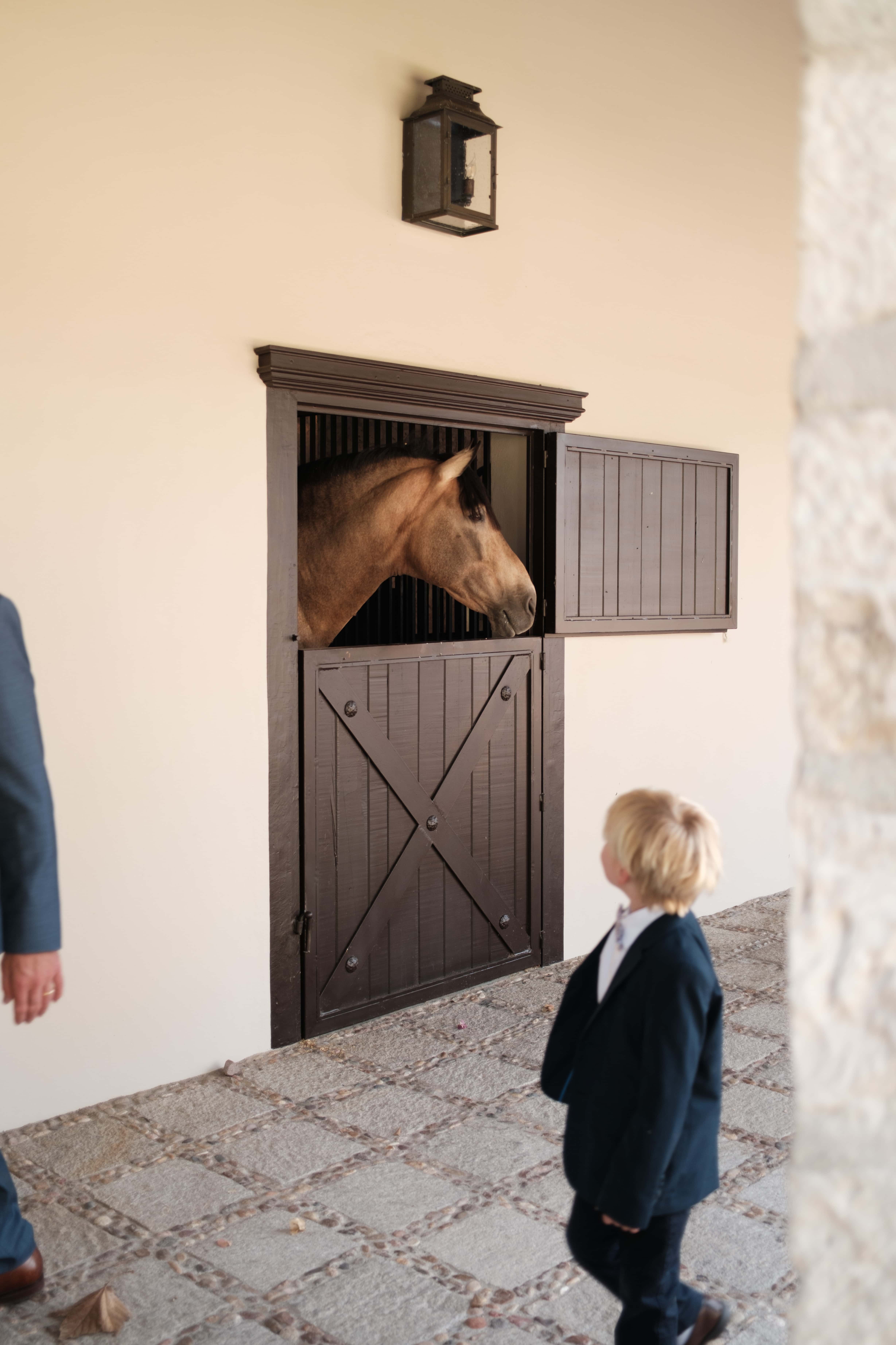 Meet the Horses of Luna Escondida: A San Miguel de Allende Wedding Ranch