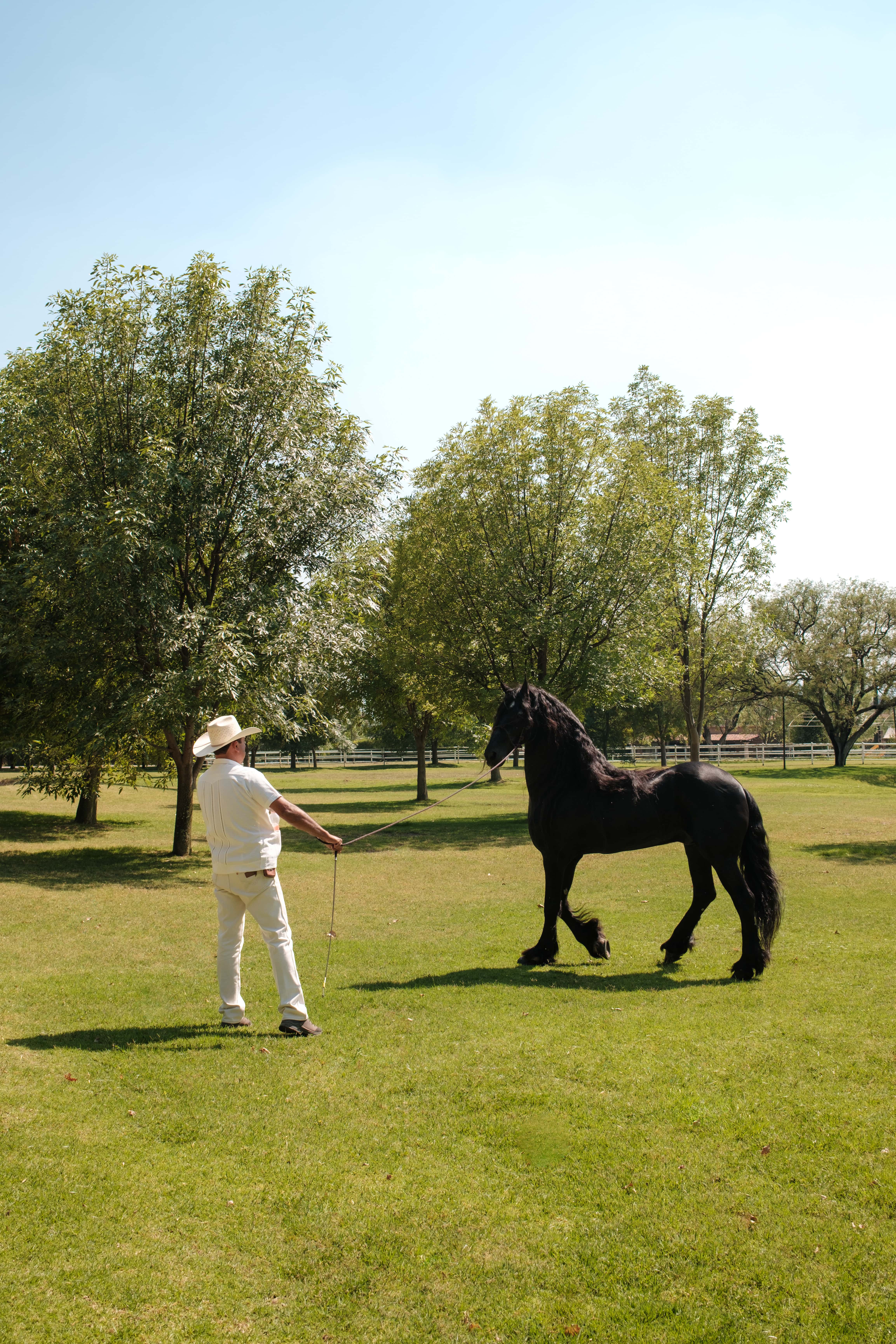 Meet the Horses of Luna Escondida: A San Miguel de Allende Wedding Ranch