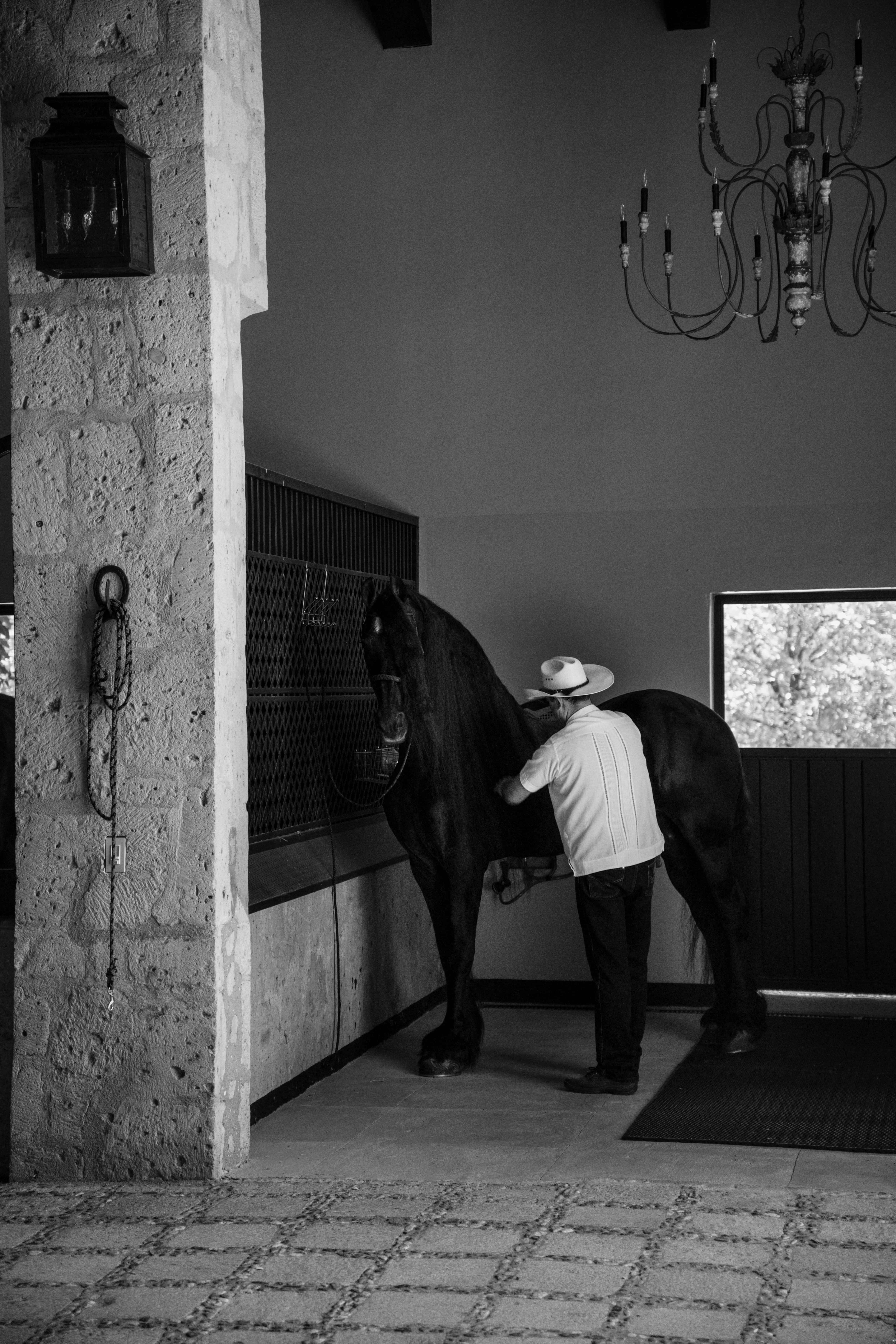 Meet the Horses of Luna Escondida: A San Miguel de Allende Wedding Ranch