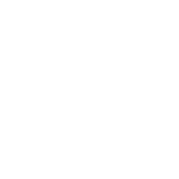Naira icon