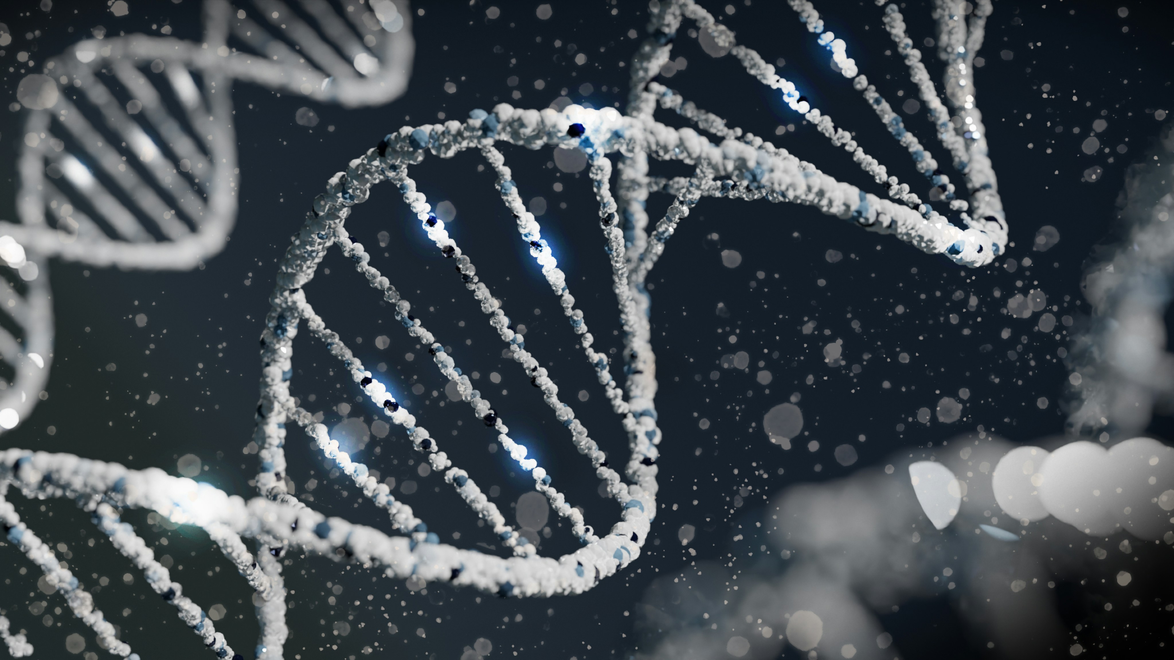 DeepStrataAge: An Interpretable Deep-Learning Clock that Reveals Stage- and Sex-Divergent DNA Methylation Aging Dynamics