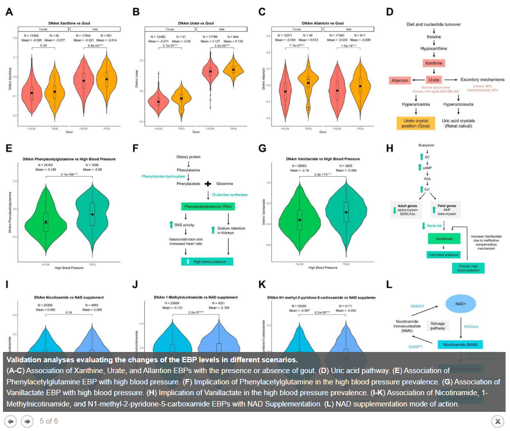 Leveraging DNA methylation to create Epigenetic Biomarker Proxies that inform clinical care: A new framework for Precision Medicine