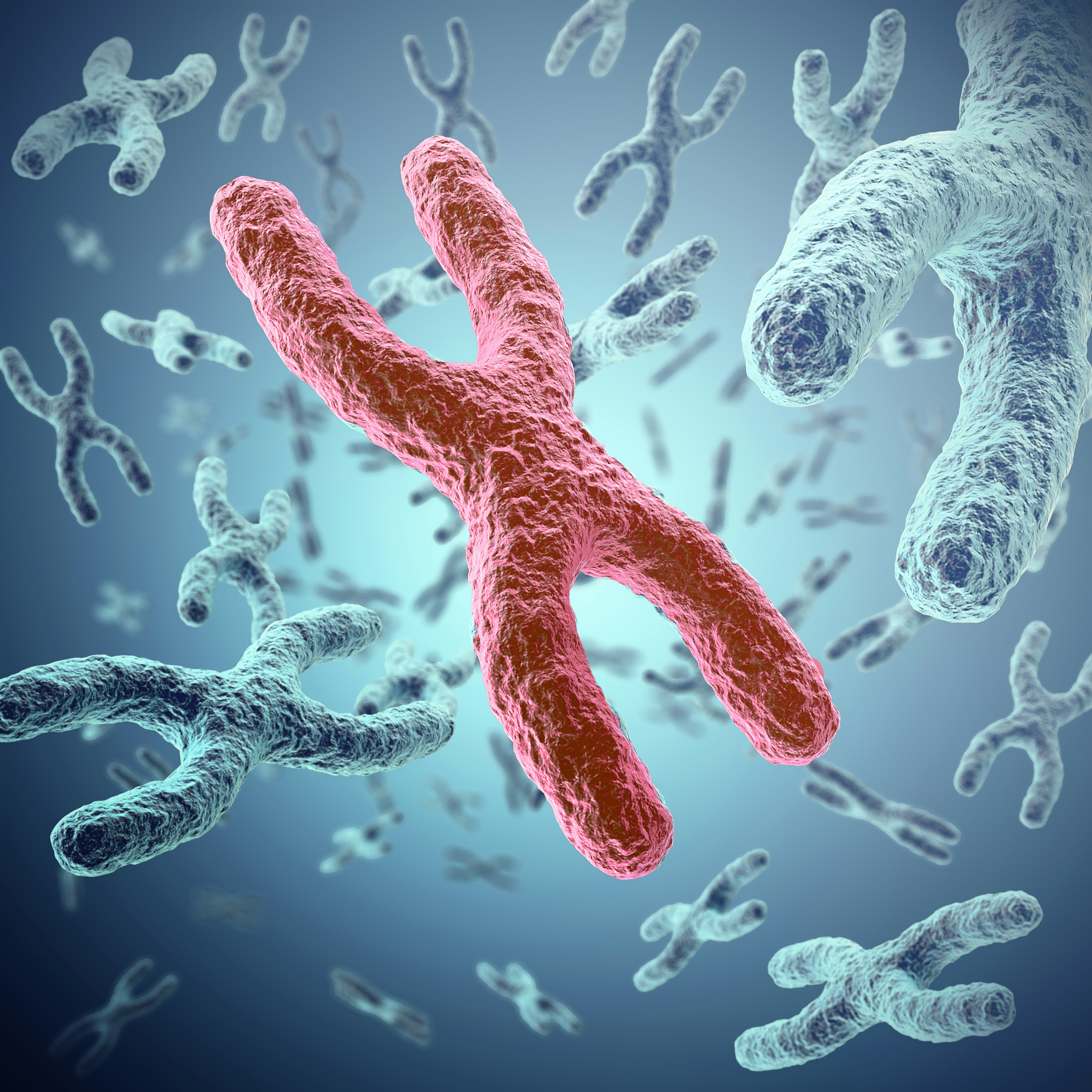 Plasticity of X-chromosome inactivation in female reproduction
