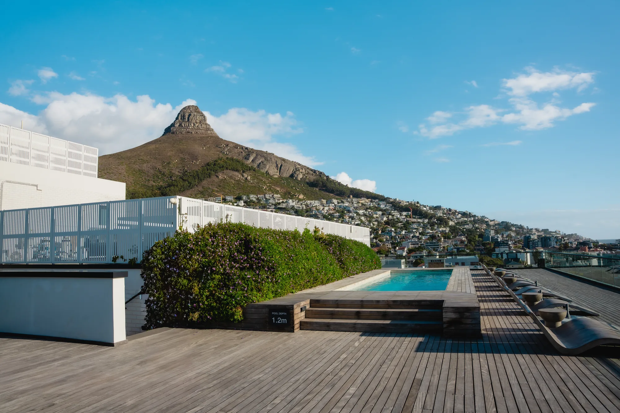 Rooftop pool deck with timber decking and loungers, Lion's Head in the background, Sea Point.
