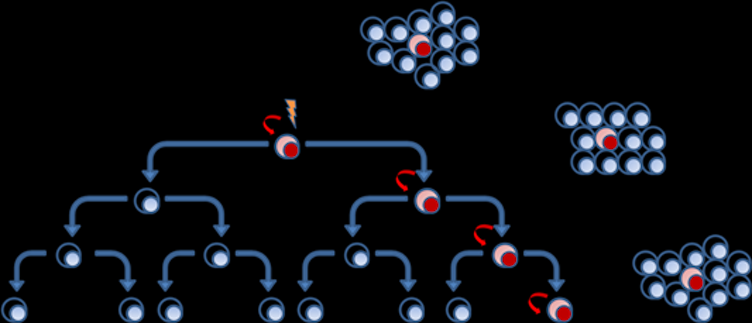 Molecular Mechanisms of Cancer Development and Actionable Genes thumbnail