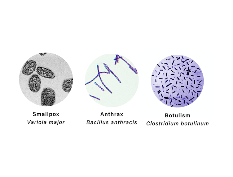 Bioterrorism: The Laboratory's Role and Response thumbnail