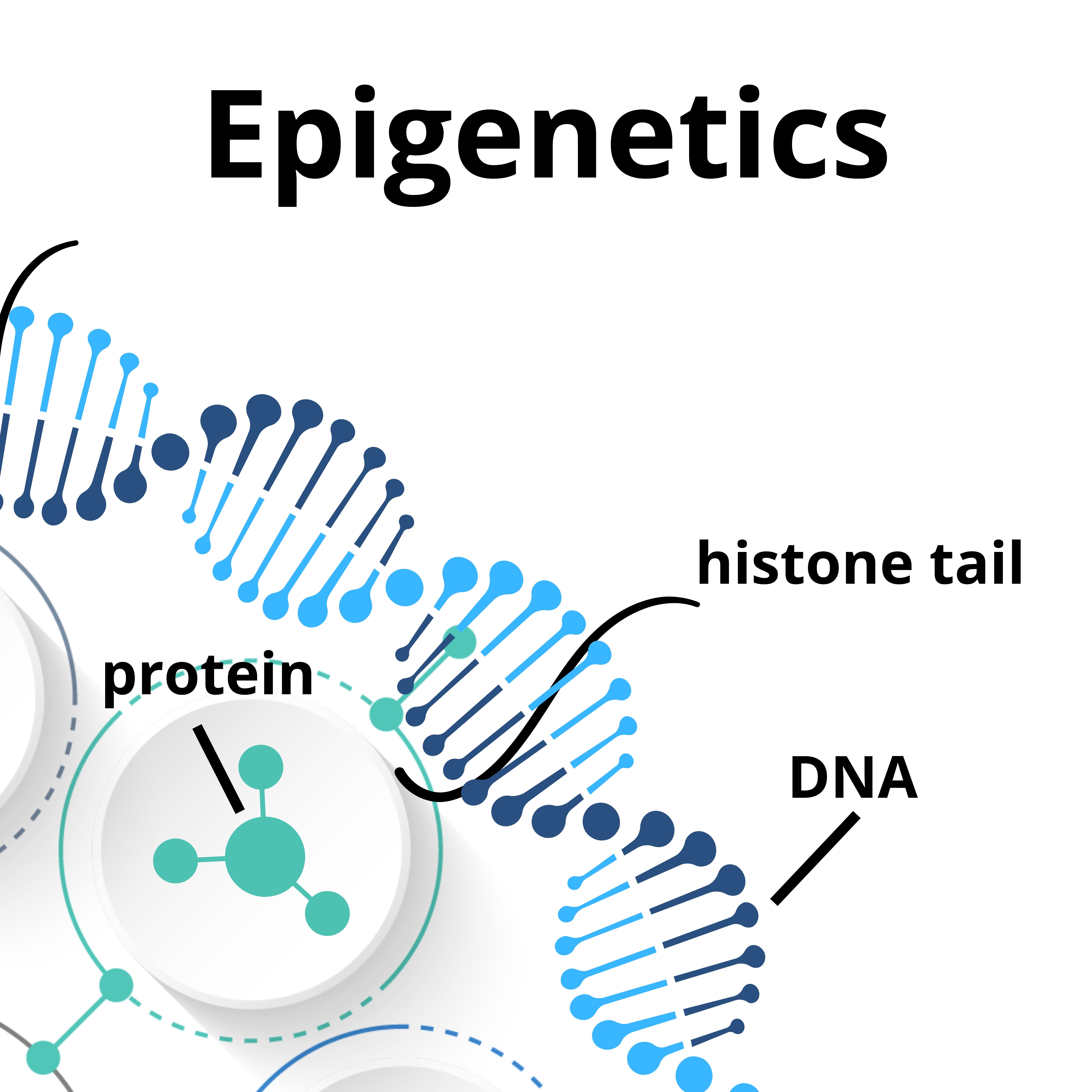 Epigenetics: Diagnostic Methods in the Clinical Laboratory thumbnail