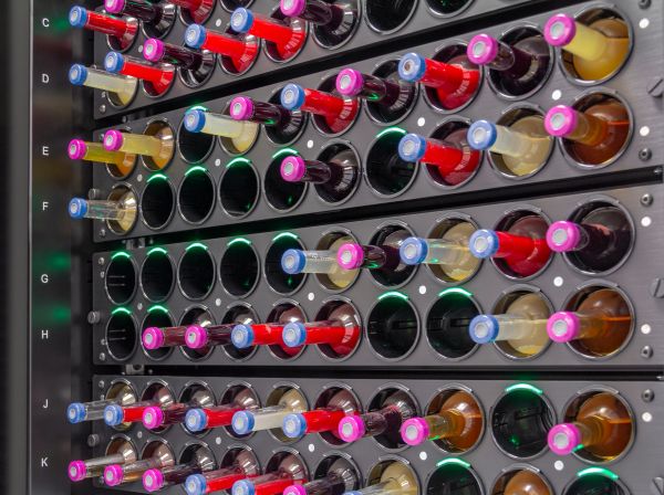 Preventing Blood Culture Contamination: Essential Collection Practices thumbnail