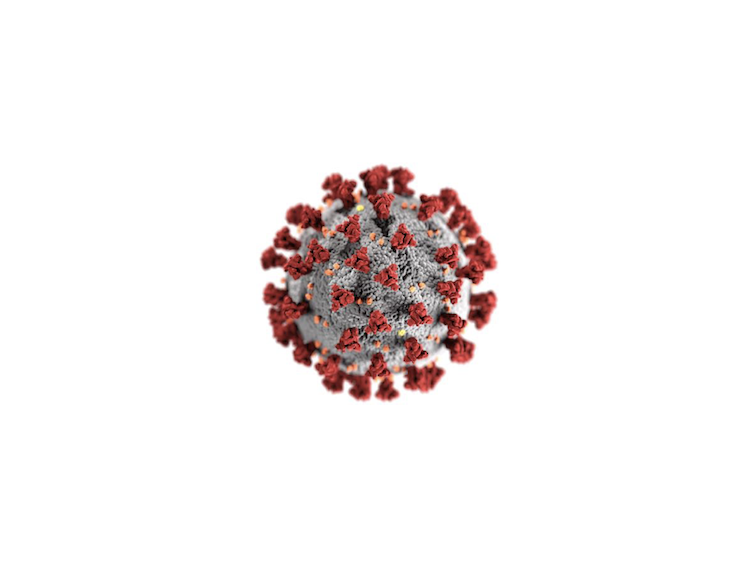 COVID-19: Basics and Biosafety Precautions thumbnail