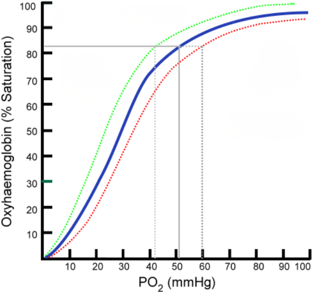 Oxygen-Hemoglobin Dissociation Curve thumbnail