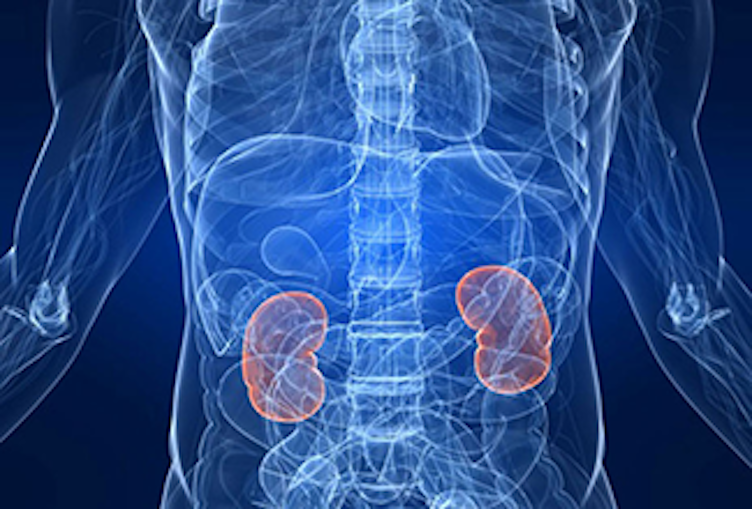 Chronic Kidney Disease thumbnail