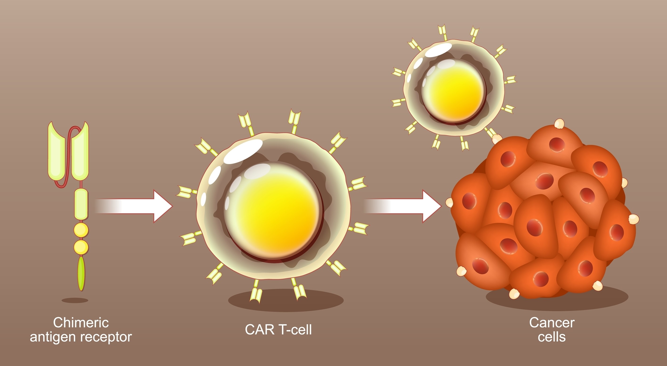 Cell Therapy Coming of Age thumbnail