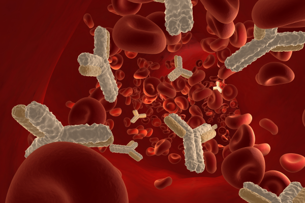 A Comprehensive Overview of HTLA and HTLA-Like Antibodies thumbnail