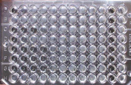 Antimicrobial Resistance: What's New and What's Next thumbnail