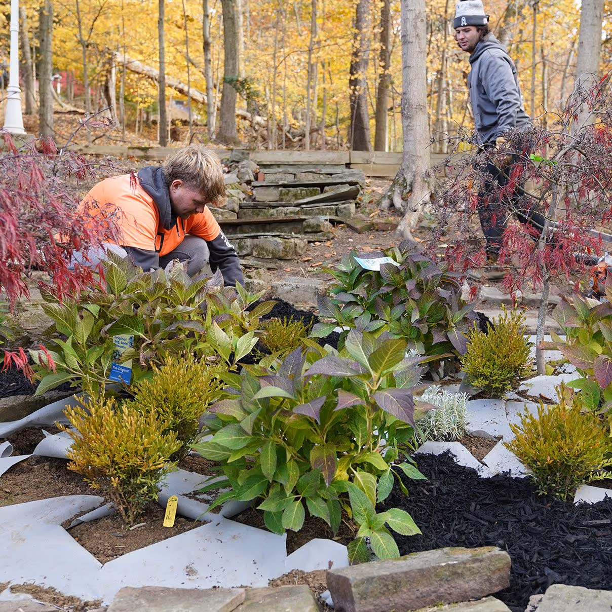 Front yard landscape transformation by A&J Lawn Pros LLC Greater Pittsburgh