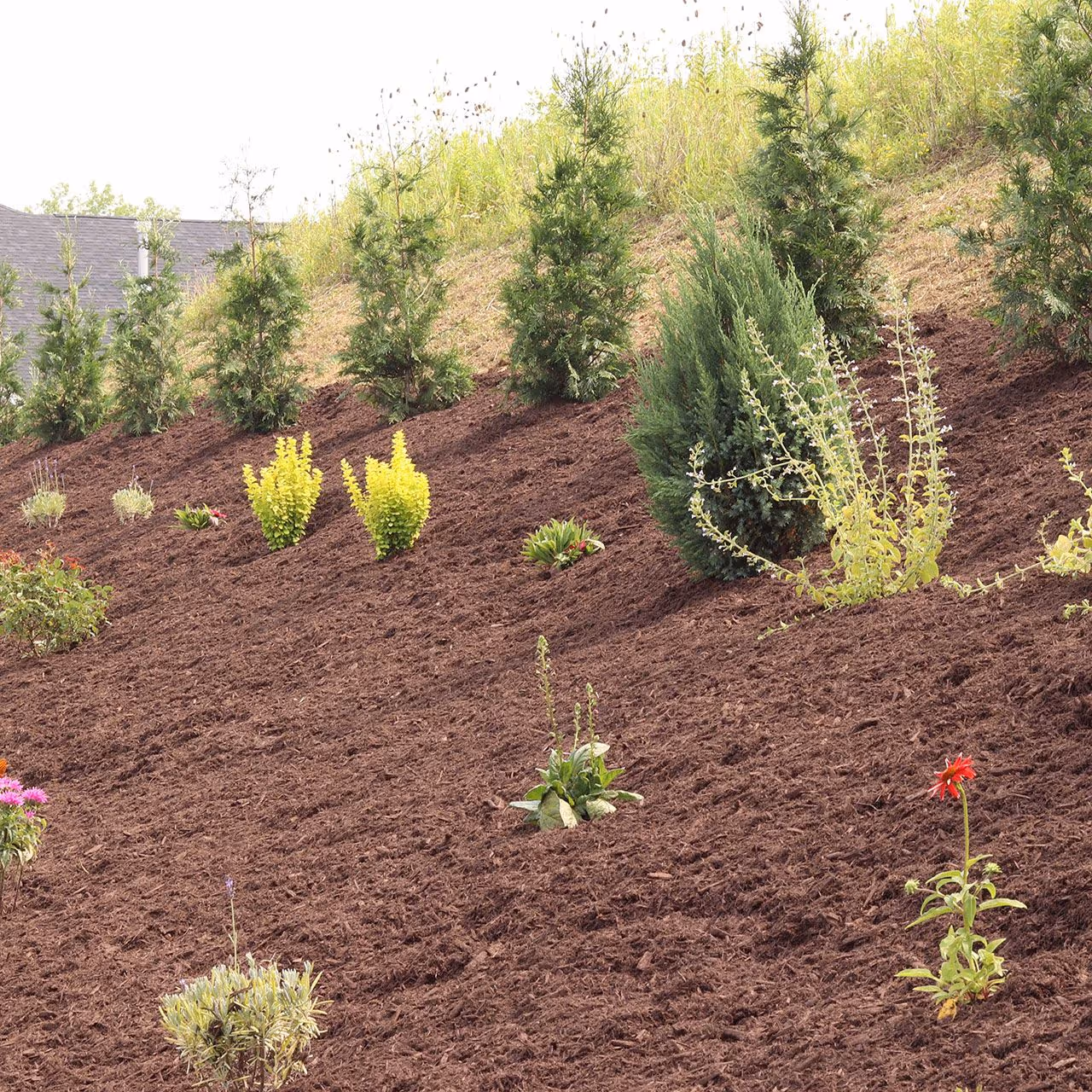 Commercial landscaping maintenance by A&J Lawn Pros LLC in Pittsburgh, PA