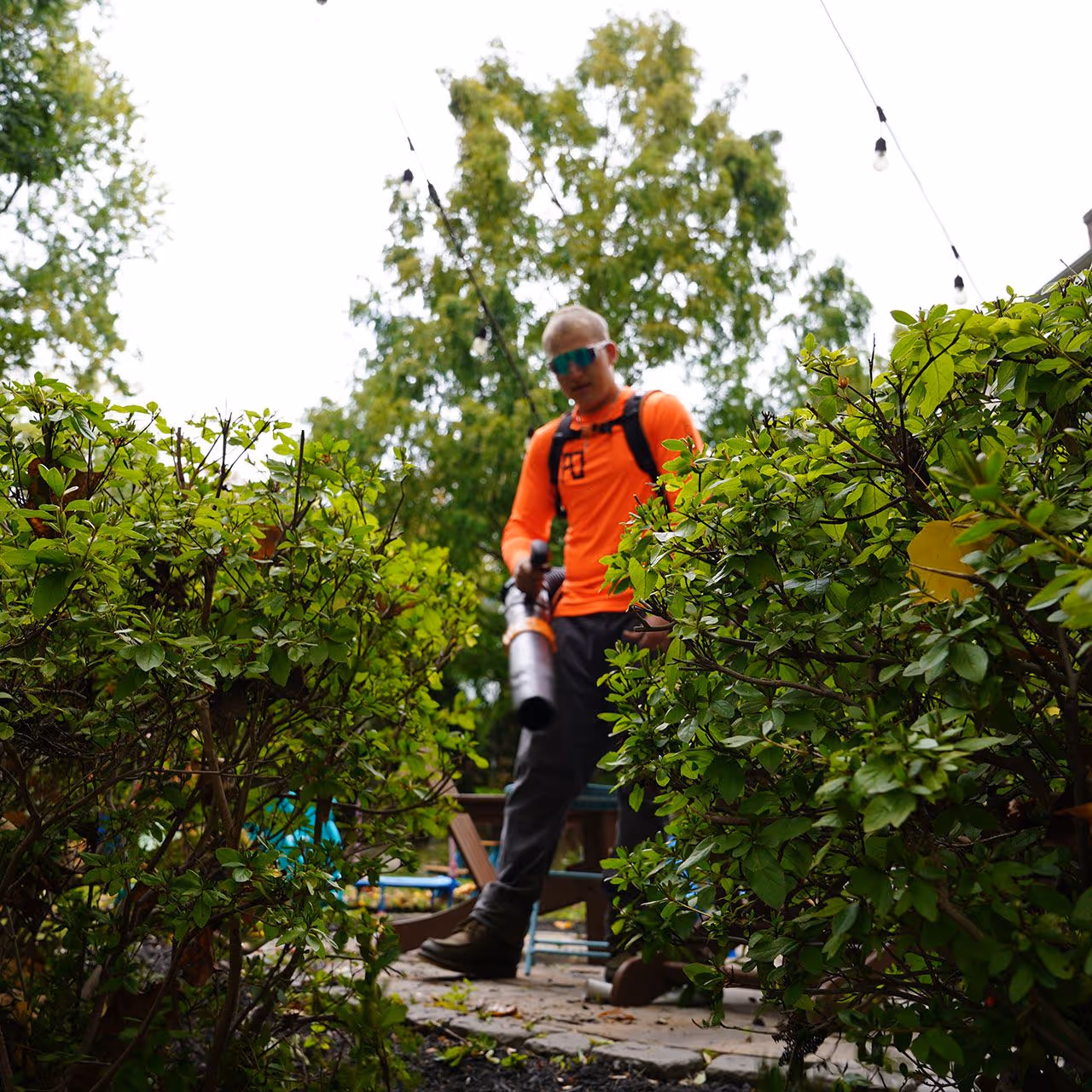 Landscape renovation services near me – A&J Lawn Pros LLC