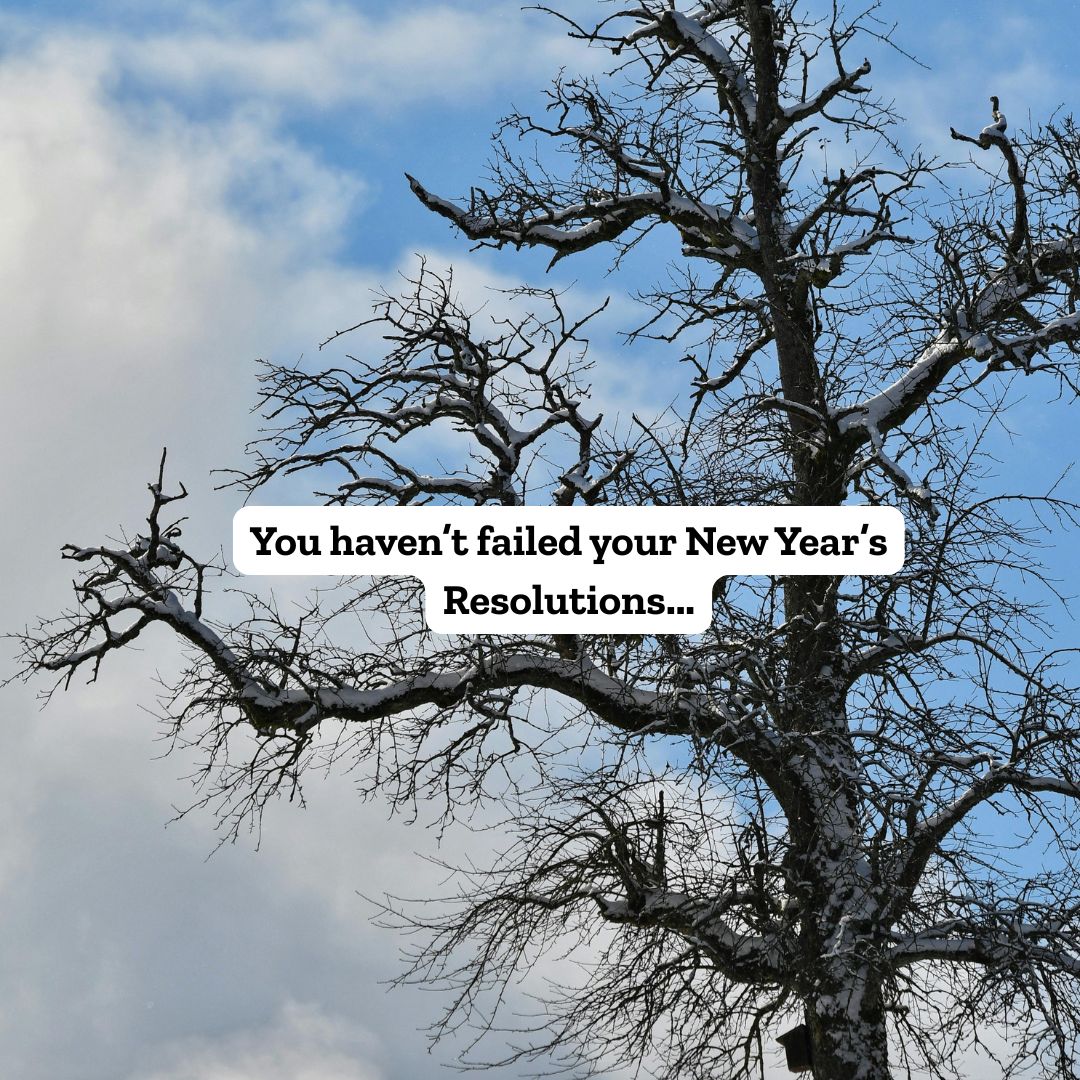 Bare winter tree on a blue sky, in the centre there is black text on a white background which reads you haven't failed your New Year's Resolutions