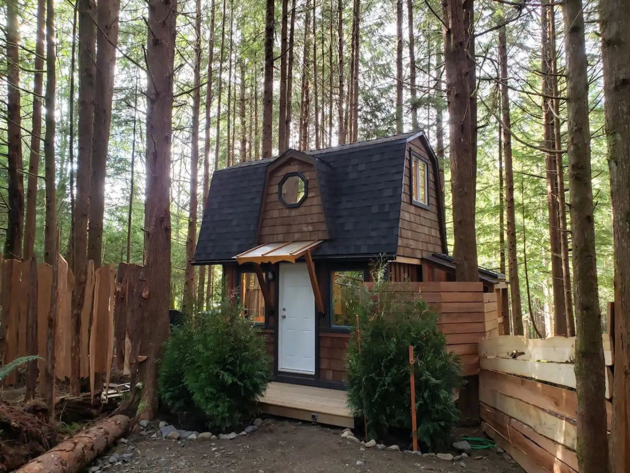 The Sapling, a two storey tiny cabin surrounded by hemlock trees at Evergreen Forest Cabins in Ucluelet