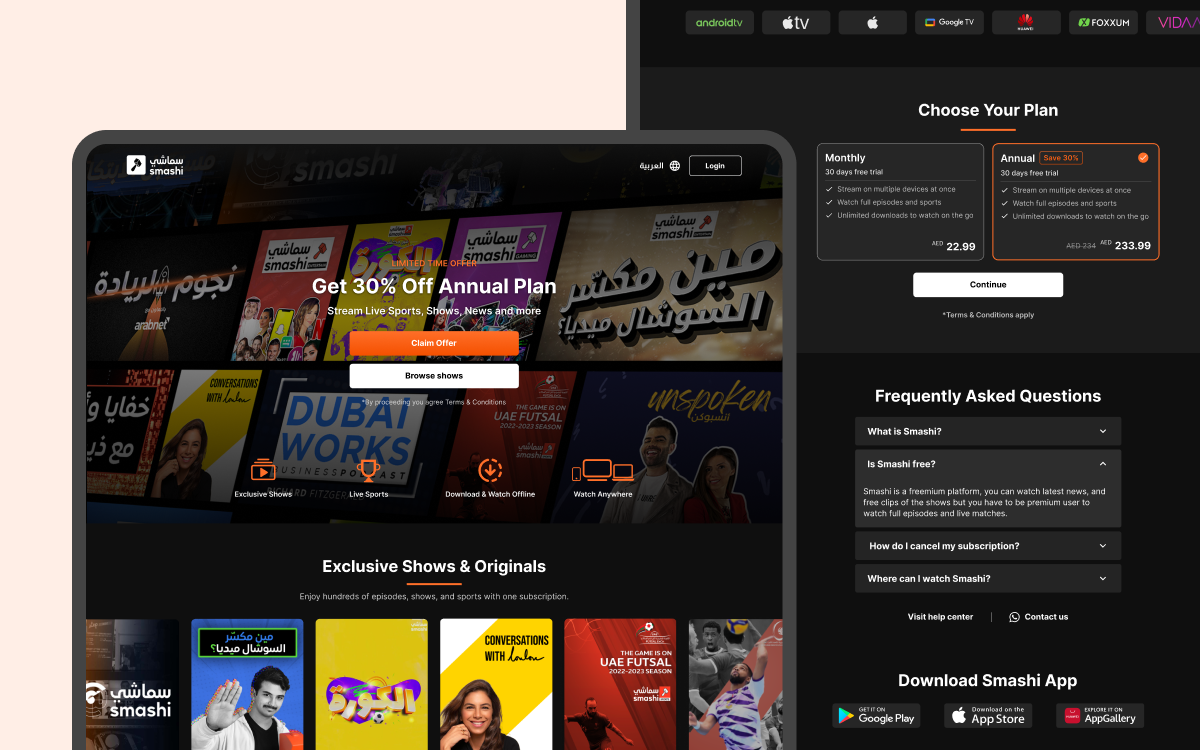 The Story of Smashi TV