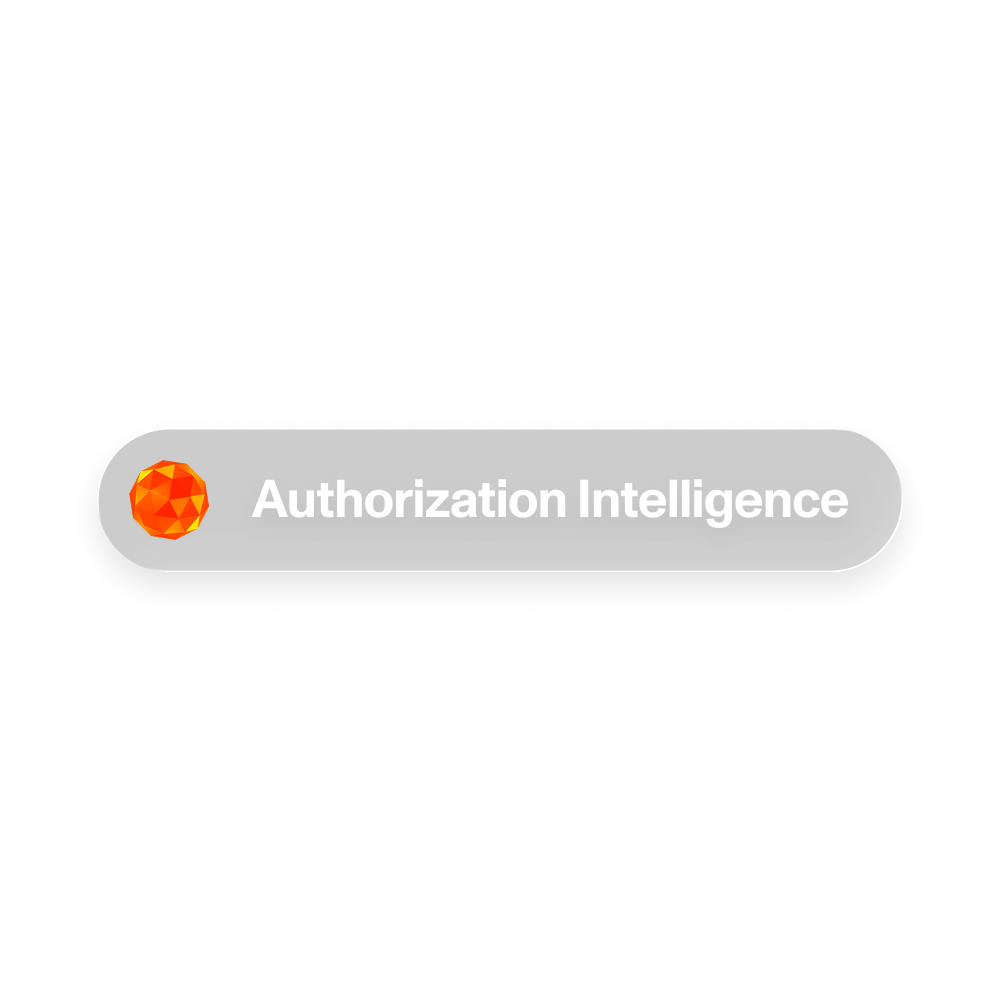 Authorization Intelligence: Programmable Infrastructure for the New Era of Payments