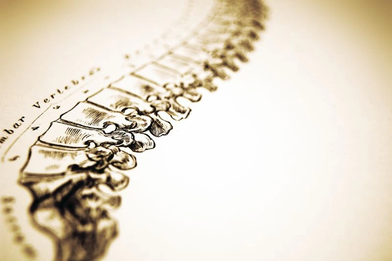 Chiropractic and Soft Tissue Therapy