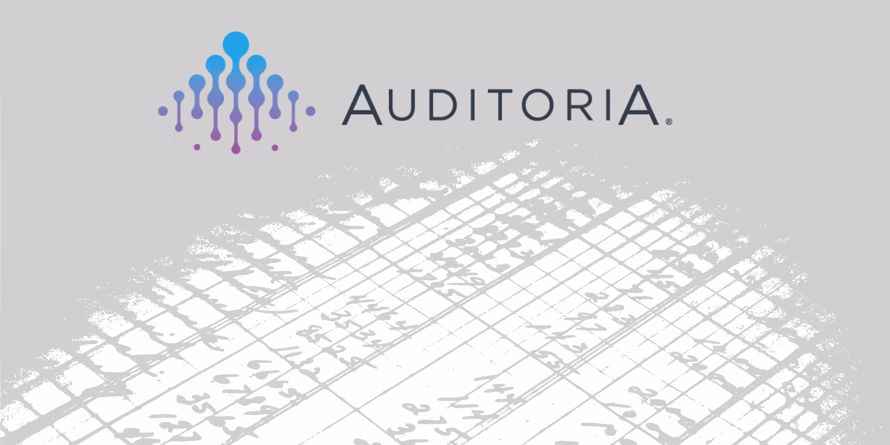 Auditoria AI: Reimaging the Office of the CFO 