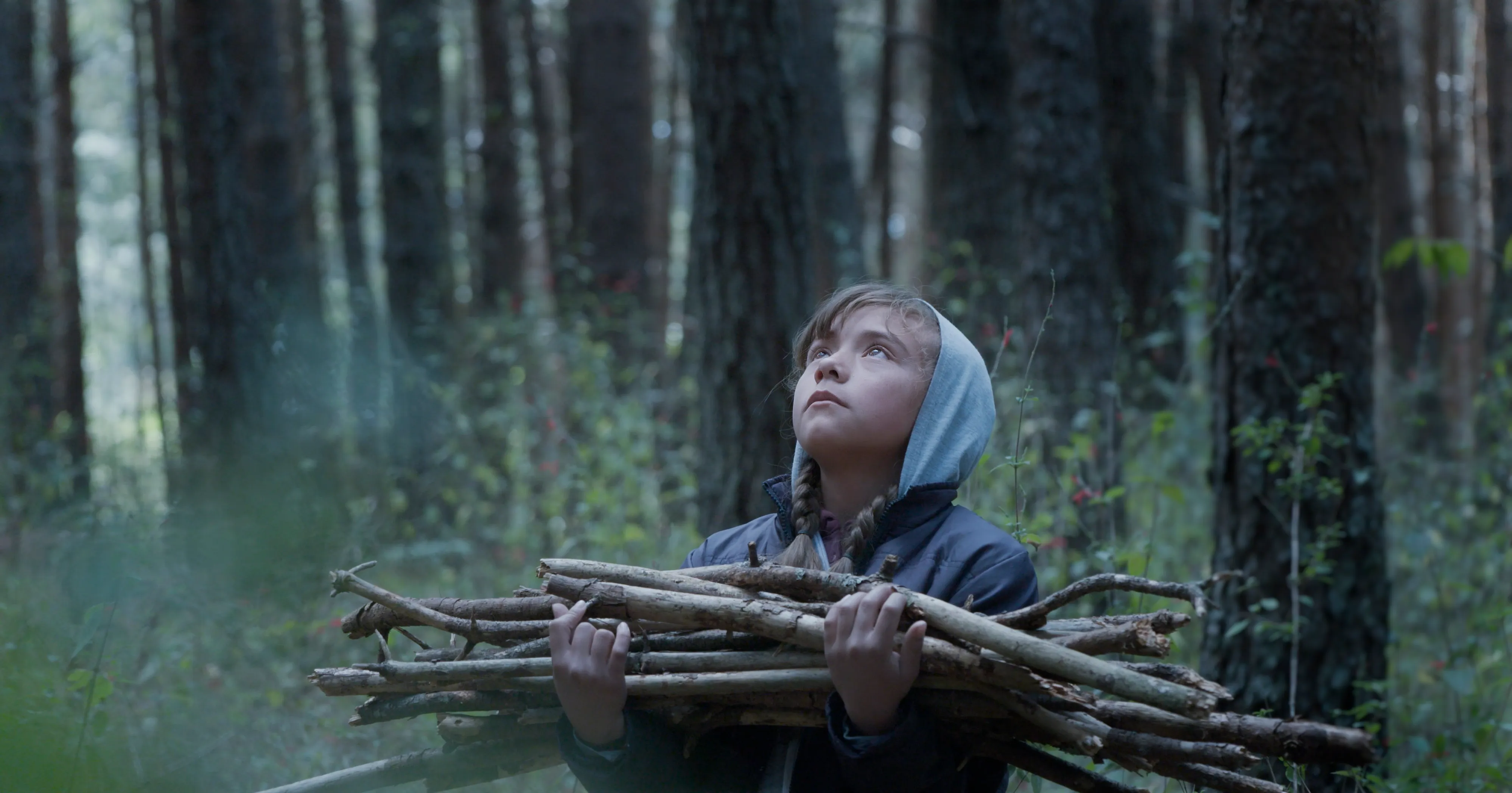 the echo, biff, budapest international film festival 
