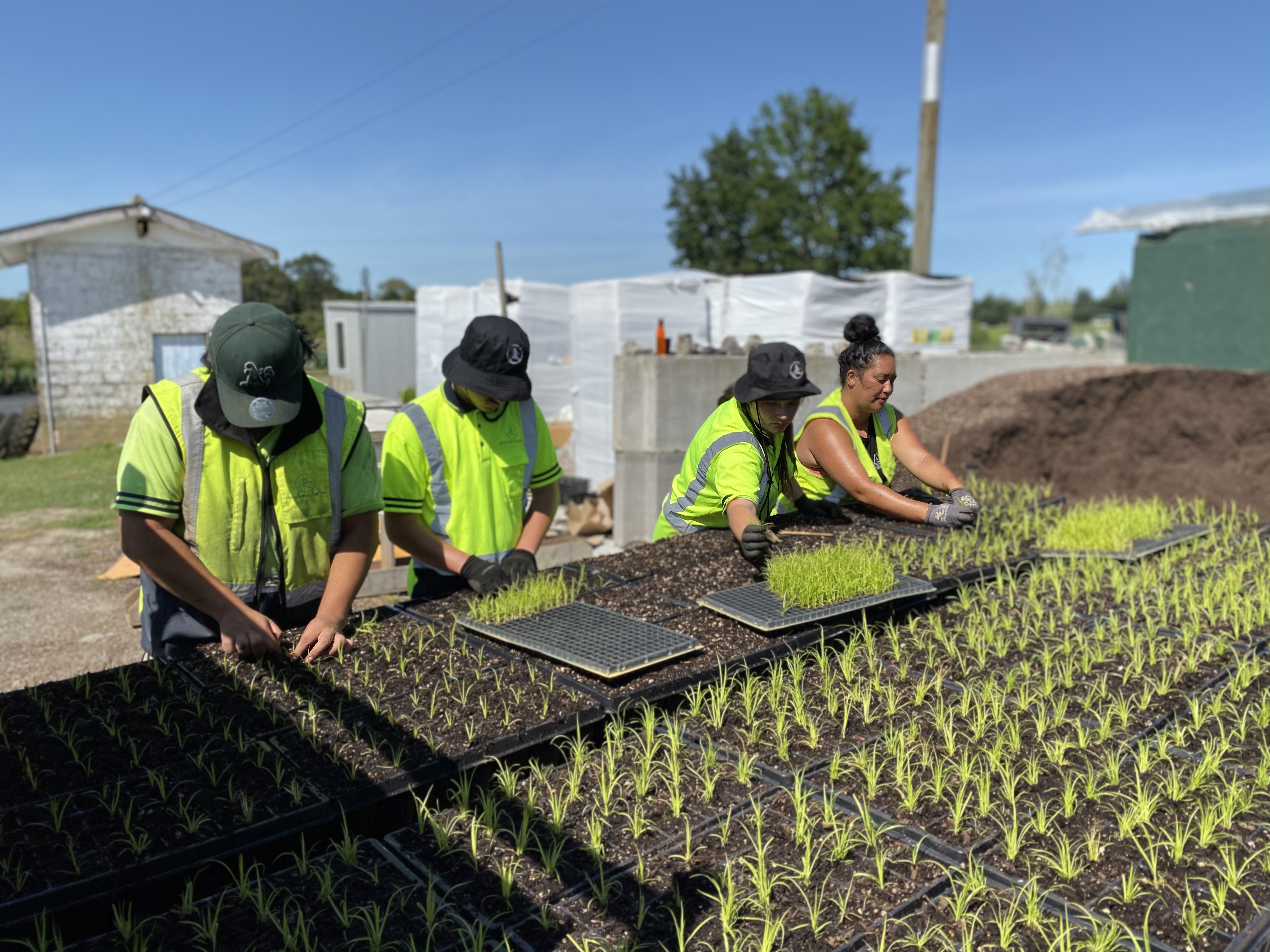 We are Pūniu River Care Inc & our vision is to create & nurture safe, thriving environments where healthy waters sustain vibrant communities across Aotearoa, New Zealand.