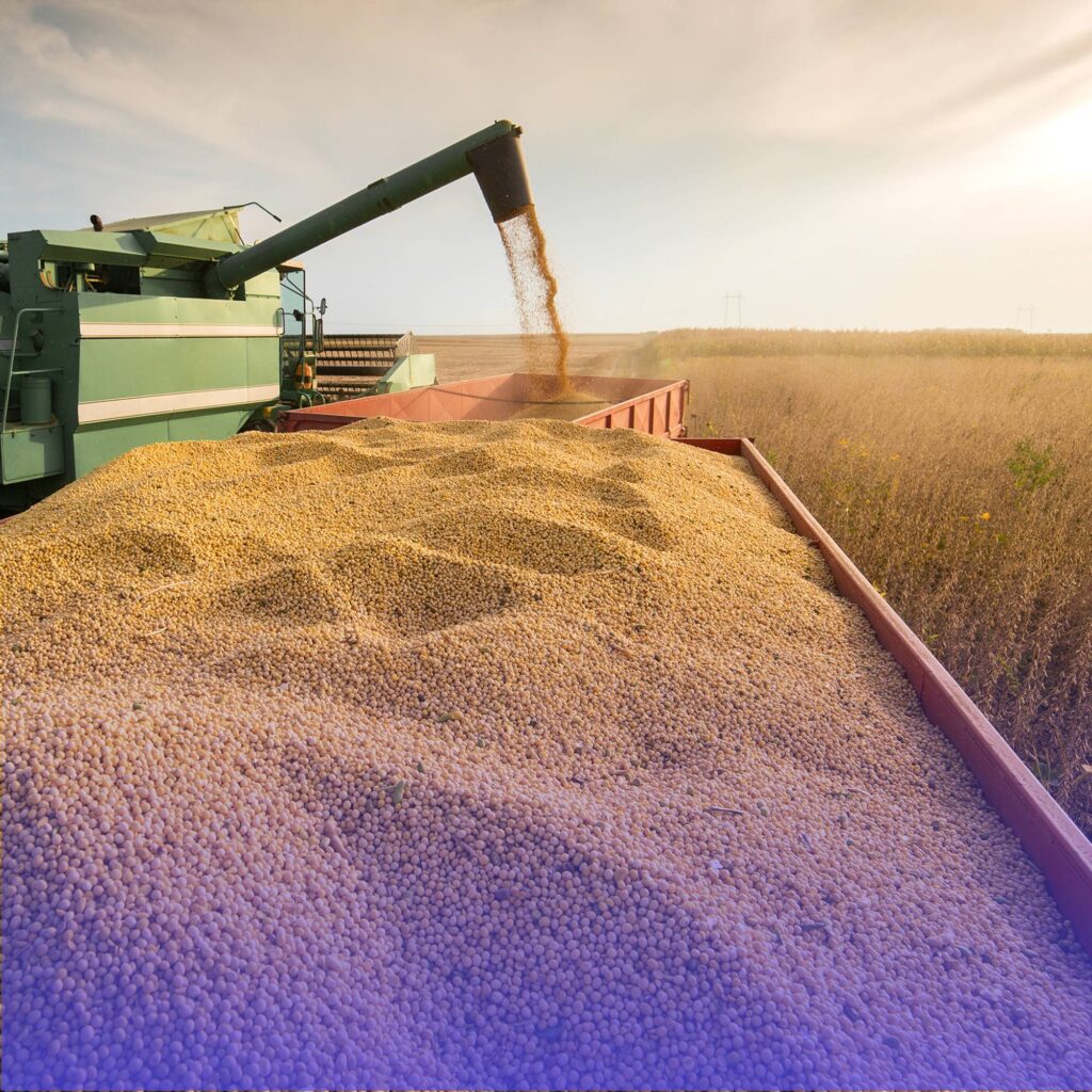 Como-funciona-o-credito-rural-para-infraestrutura-do-agronegocio