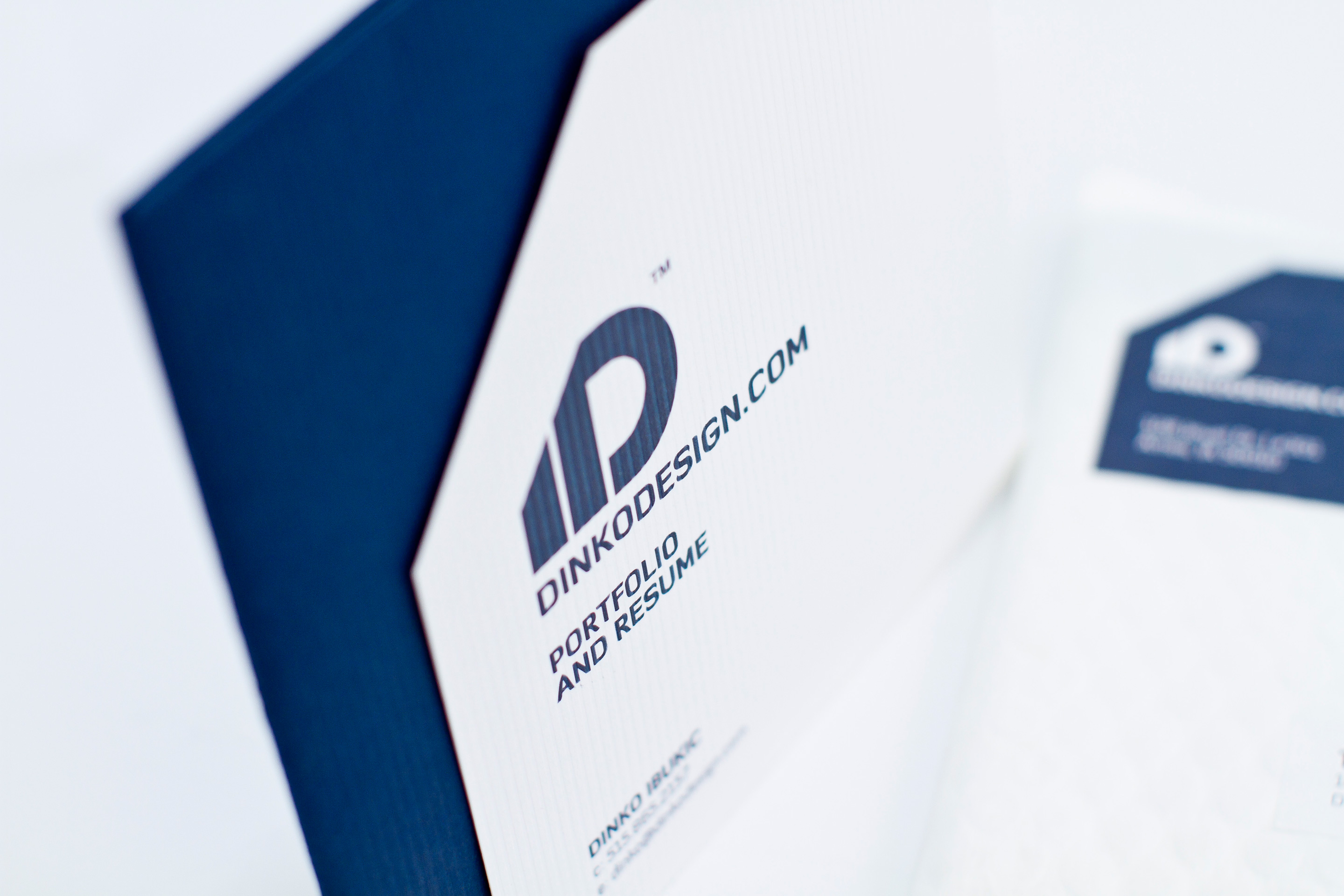 Designer collaborating with a client on logo concepts