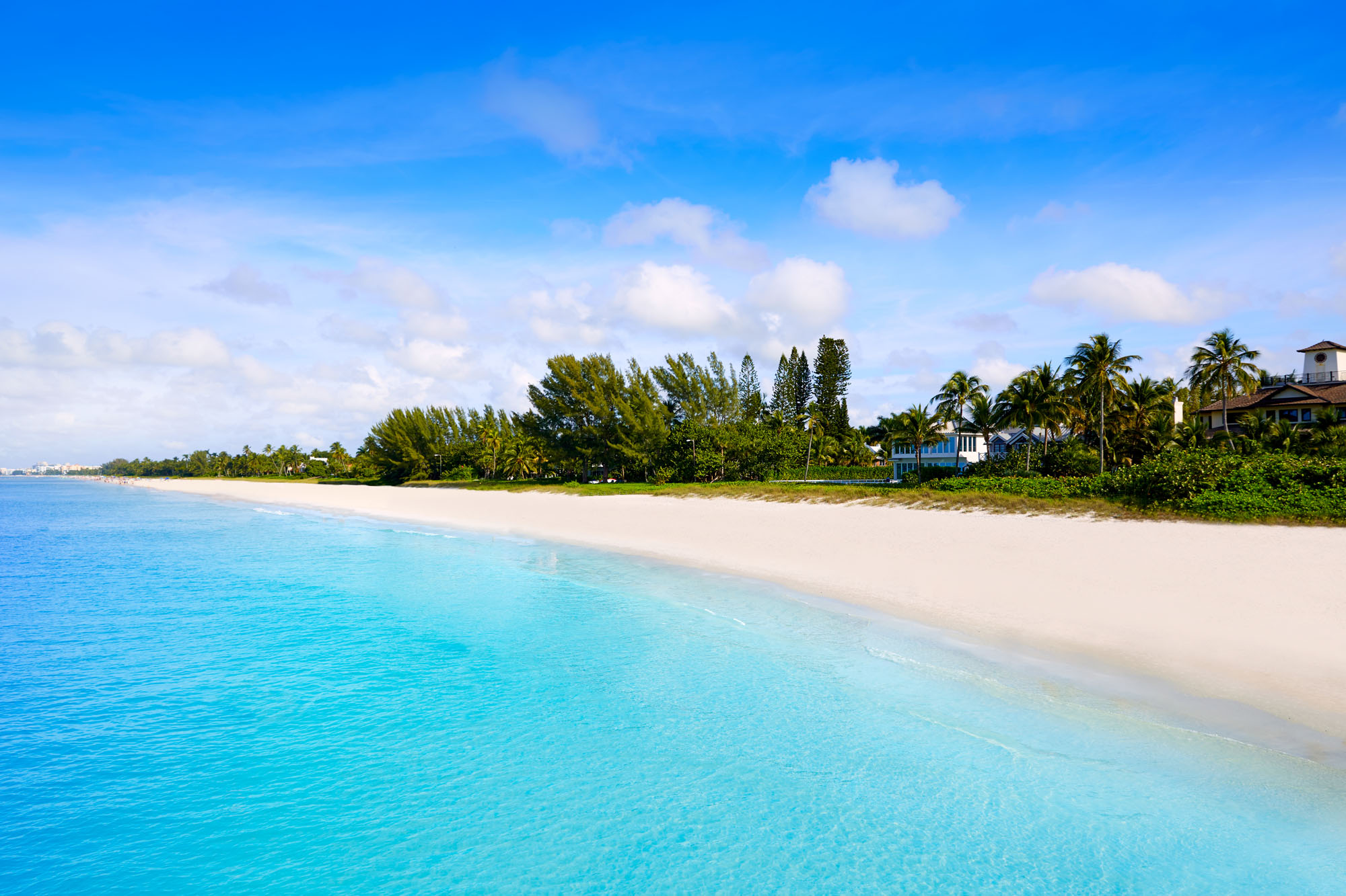 Englewood local businesses