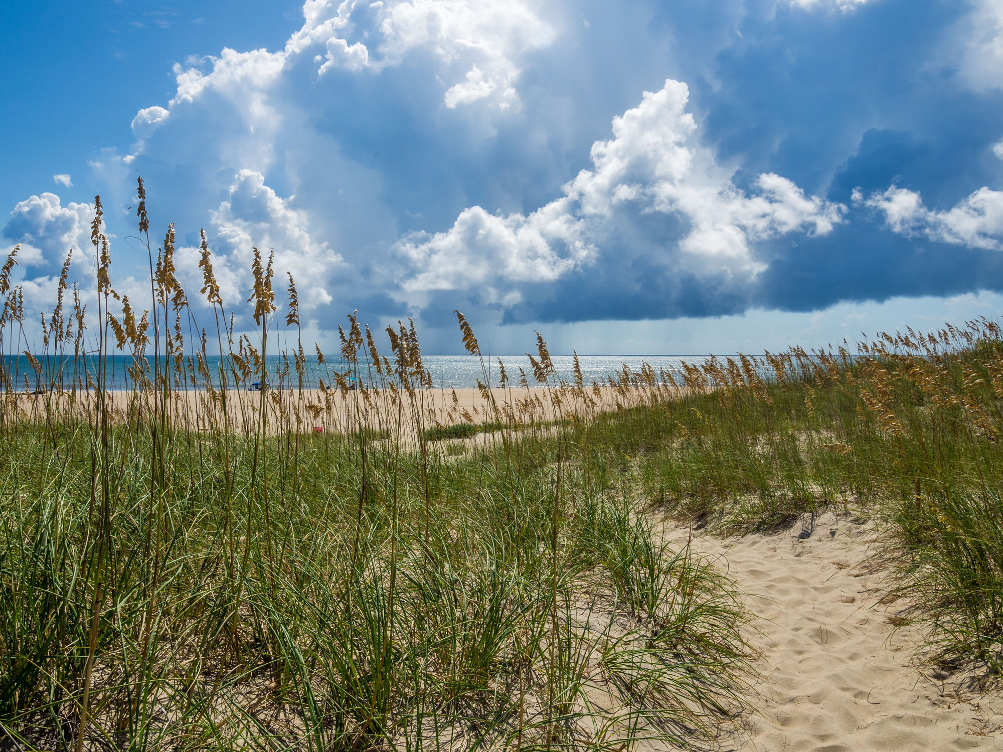Osprey residential areas