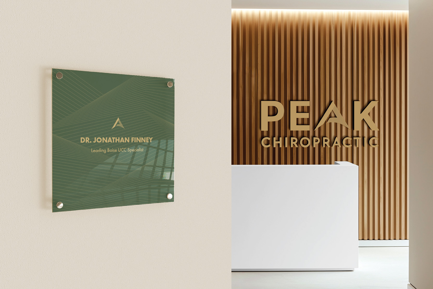 Peak Upper Cervical Chiropractic website homepage featuring modern Webflow design and upper cervical care information for Boise Idaho patients