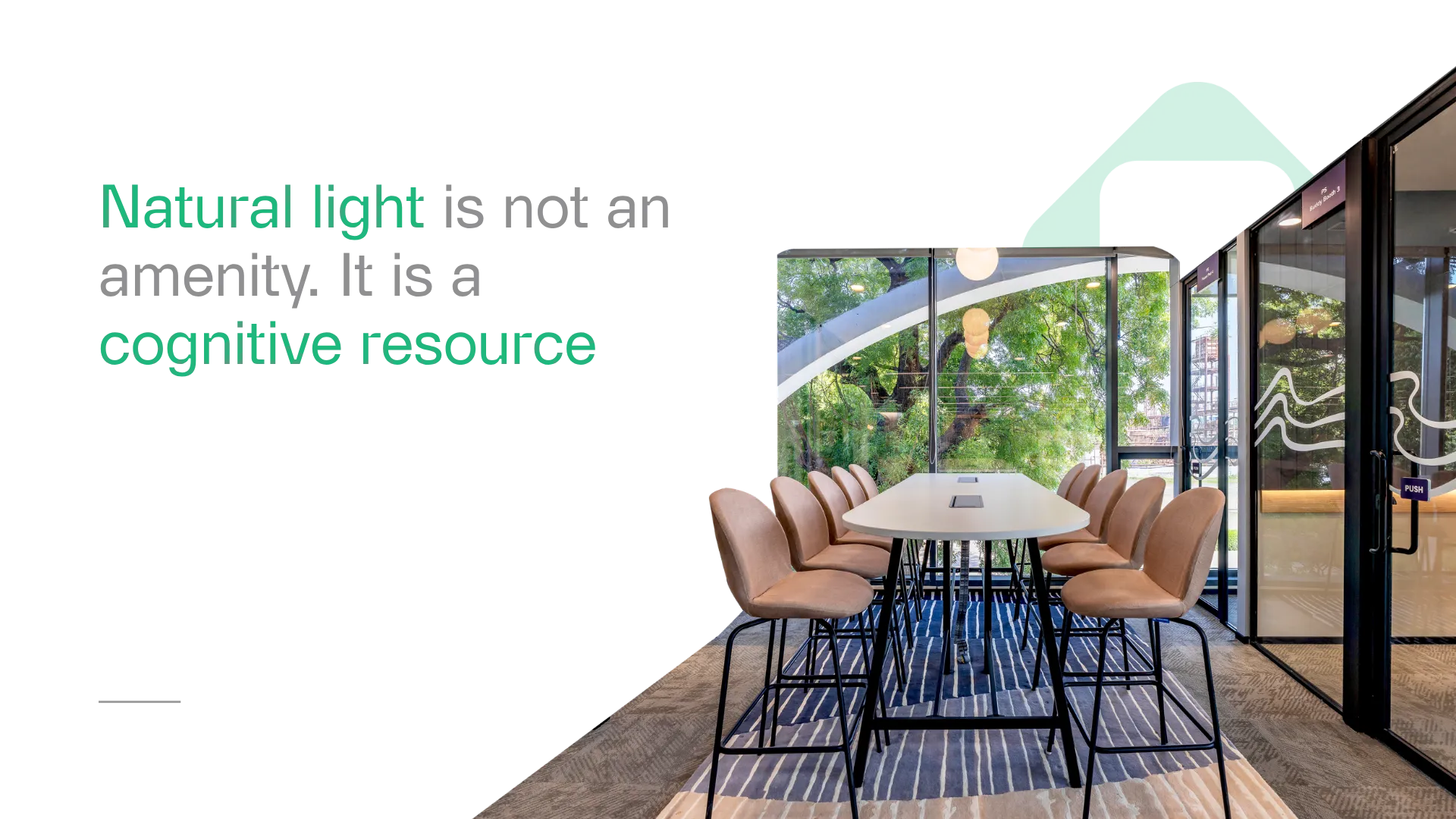 Natural light is not an amenity. It is a cognitive resource