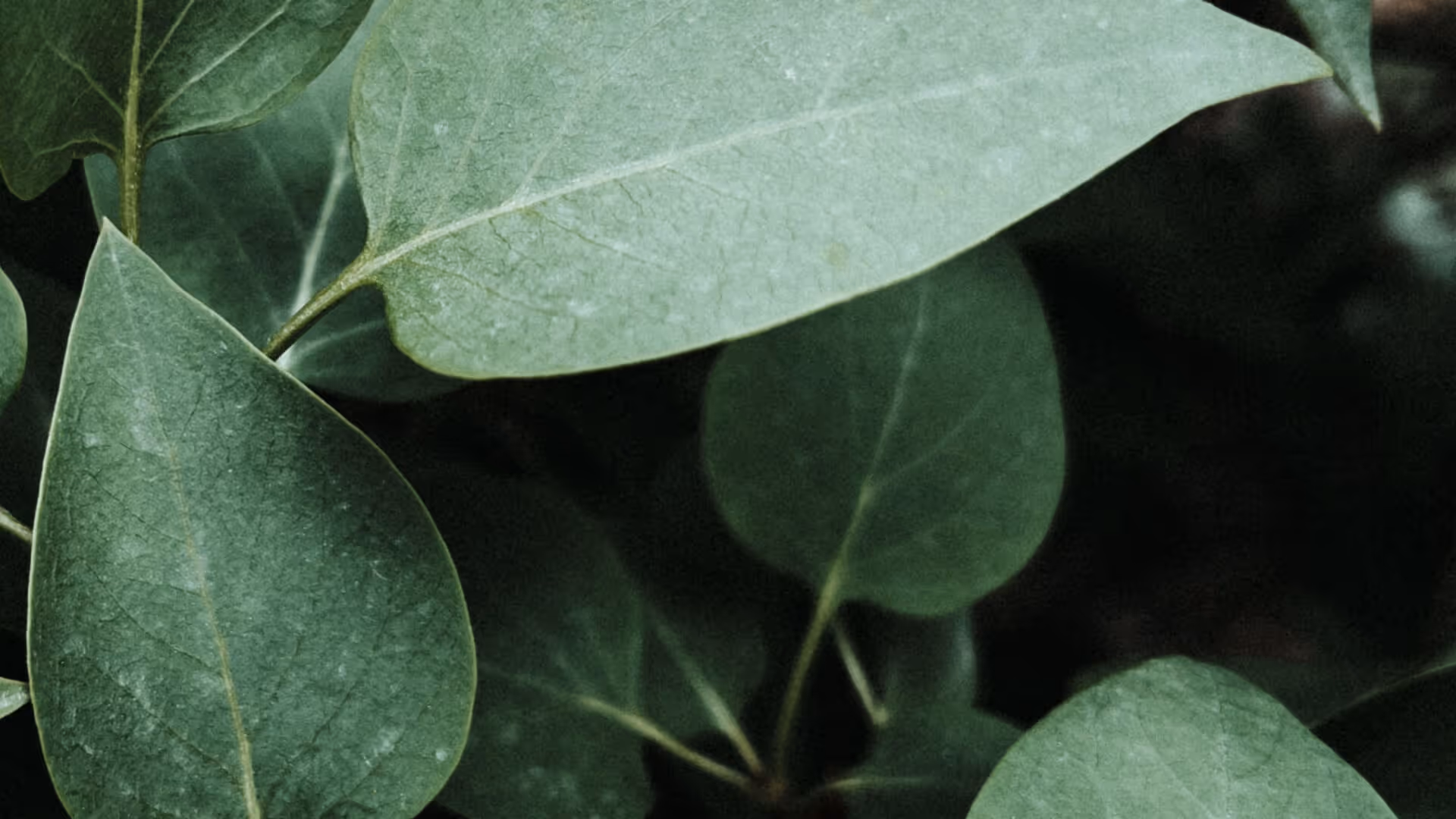 The Worst Advice We've Ever Heard About Web Design