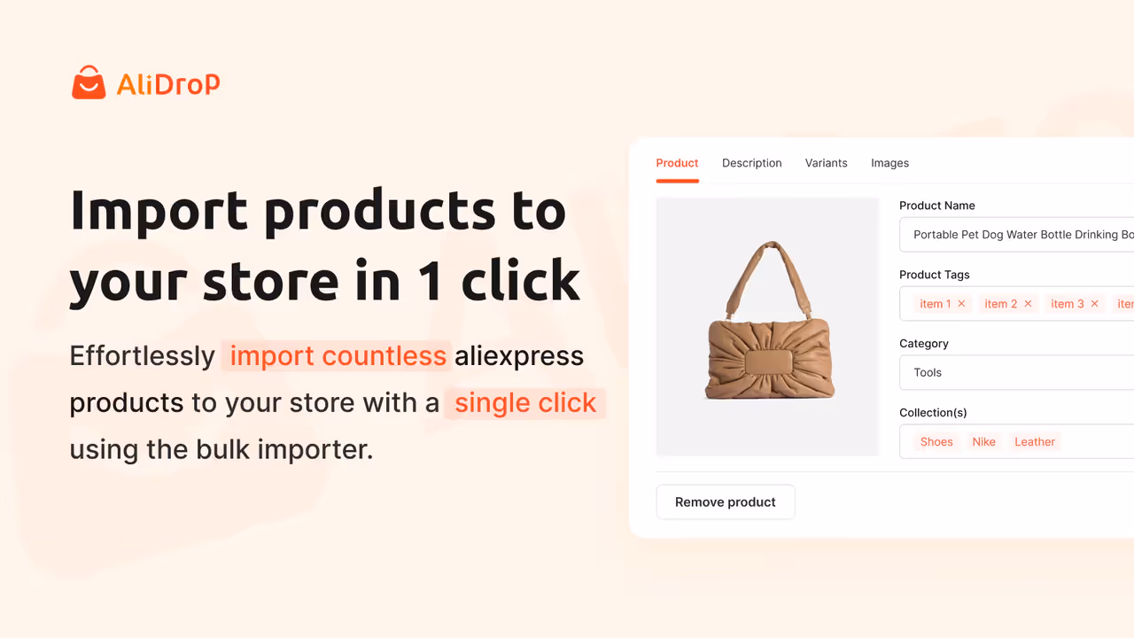 Setup Your Store with AliDrop or Shopify
